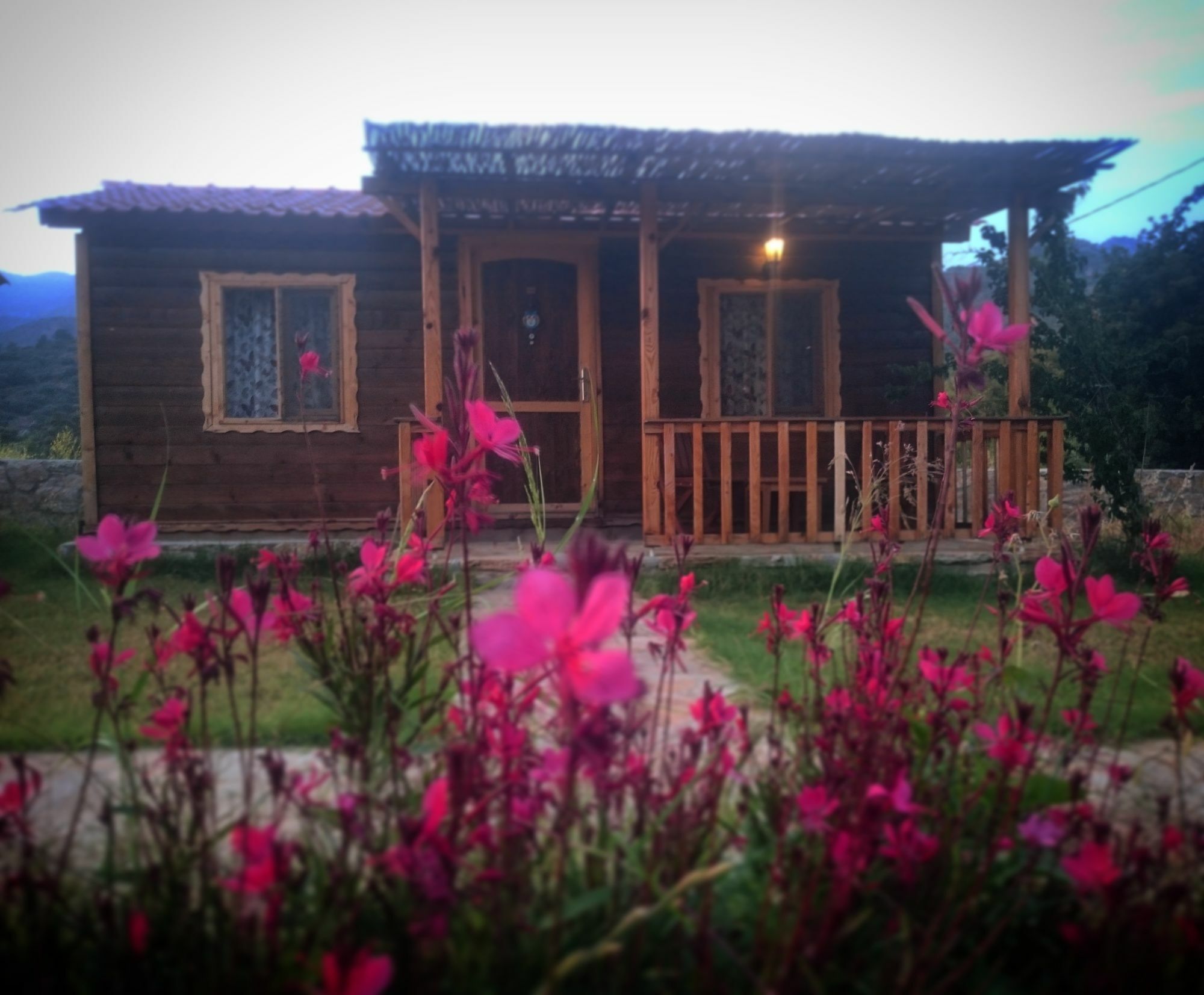 Ipekce Tatil Evleri Mesudiye  ภายนอก รูปภาพ
